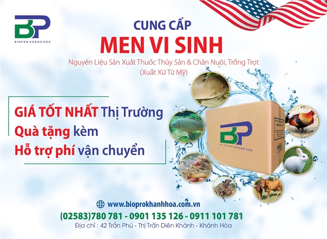 Men vi sinh nguyên liệu đơn dòng dùng cho sản xuất chăn nuôi gia súc gia cầm