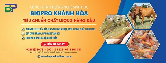 Men vi sinh nguyên liệu đơn dòng dùng cho sản xuất chăn nuôi gia súc gia cầm