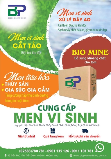 Men vi sinh nguyên liệu đơn dòng dùng cho sản xuất chăn nuôi gia súc gia cầm