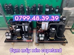 sửa chữa cụm máy nén copeland piston 5hp giá tốt