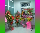 shop hoa sông hinh phú yên - (nhận kết hoa tươi, hoa khô, làm mâm quả cưới tại hai riêng sông hinh)