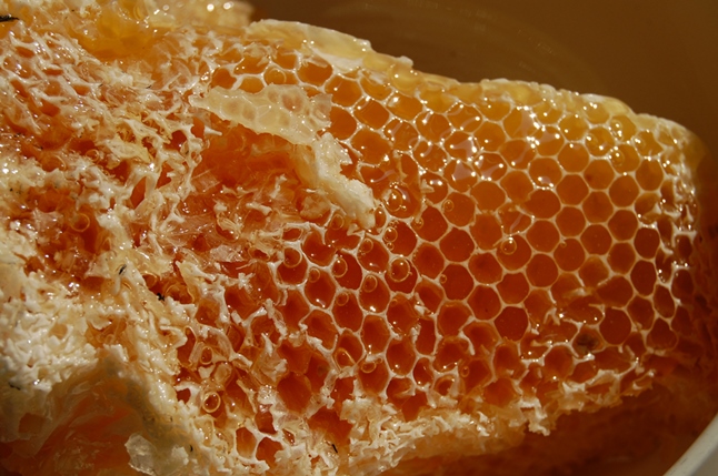 mật ong rừng daklak
